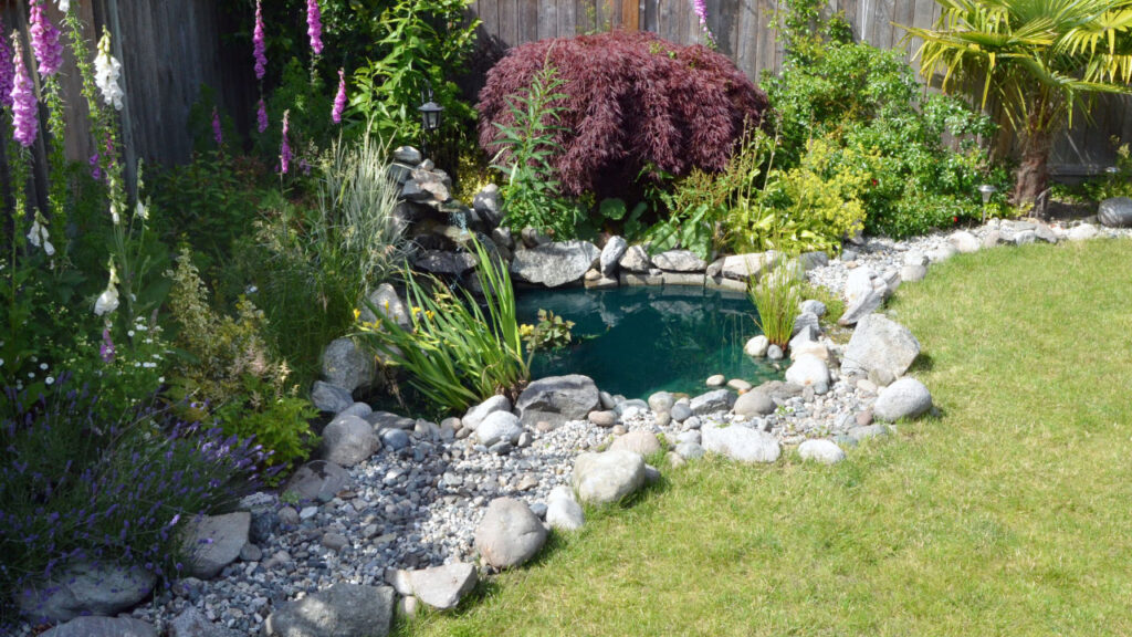 well-designed backyard pond