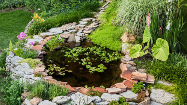 backyard ponds