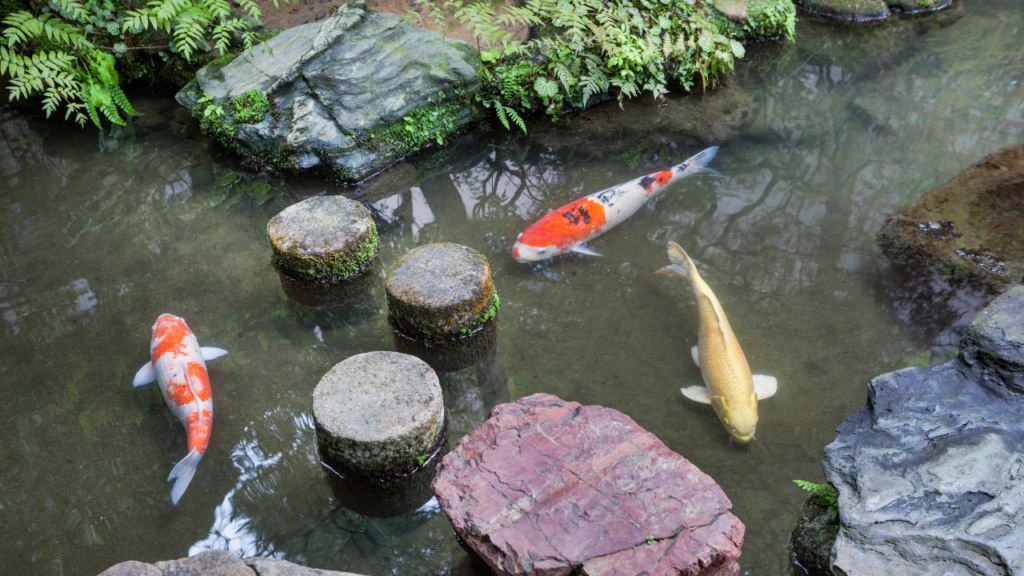 Pond and fountain repair Orange County