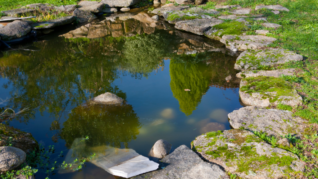 Pond and fountain repair Orange County