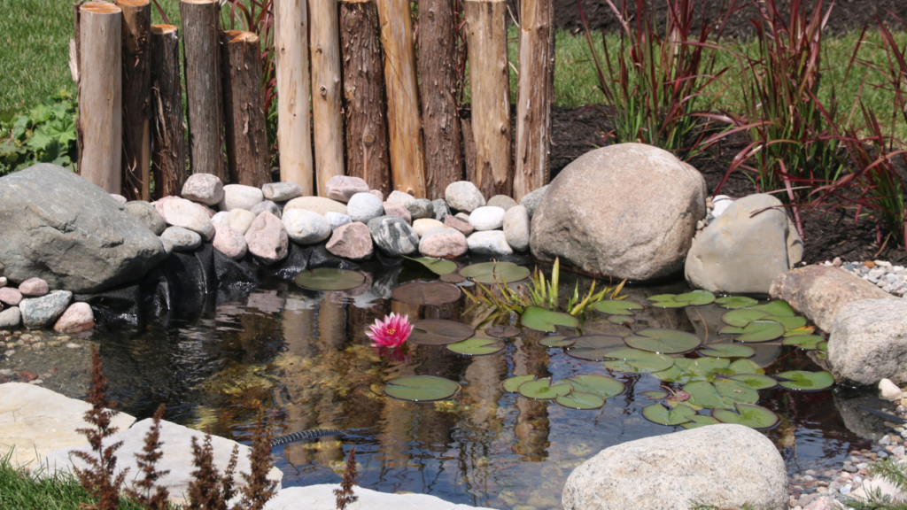 pond cleaning services