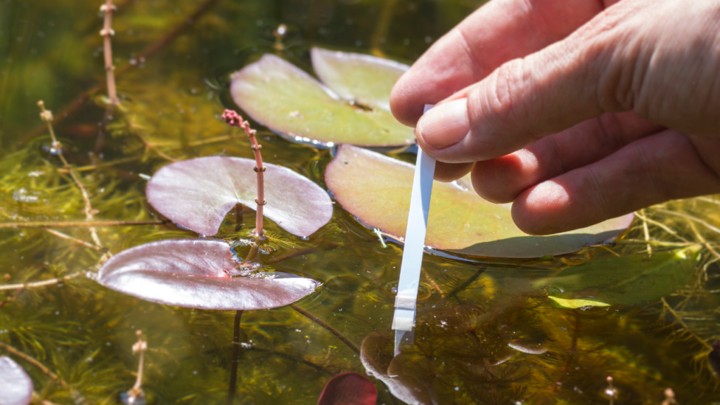 Balancing Pond pH Tips and Techniques