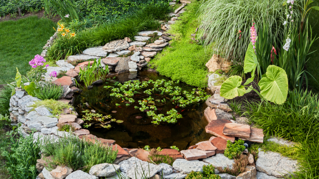 pond maintenance tips